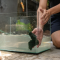 How to Clean a Betta Fish Tank